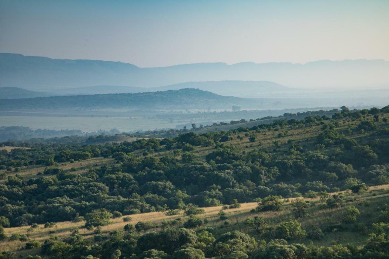 Bed and Breakfast Olive Tree Farm Magaliesburg Zewnętrze zdjęcie