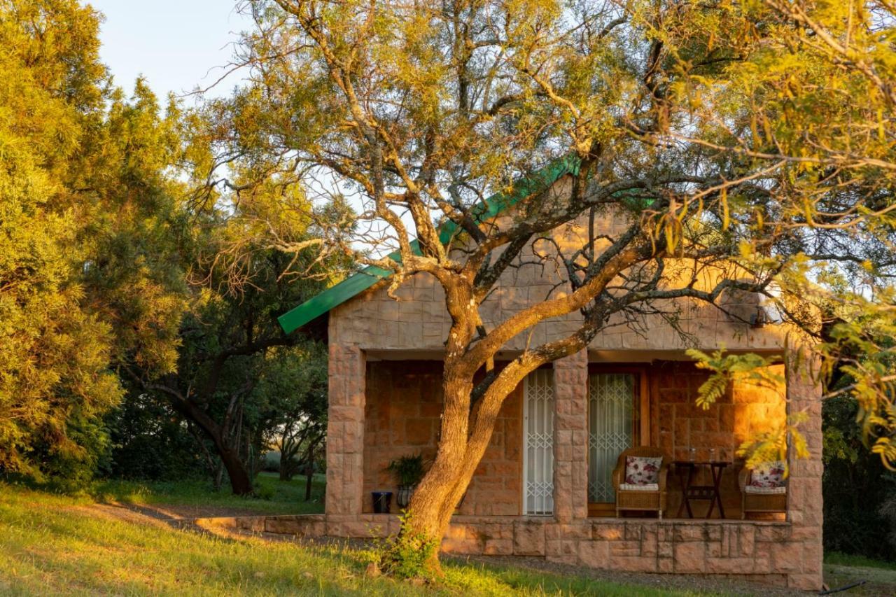 Bed and Breakfast Olive Tree Farm Magaliesburg Zewnętrze zdjęcie